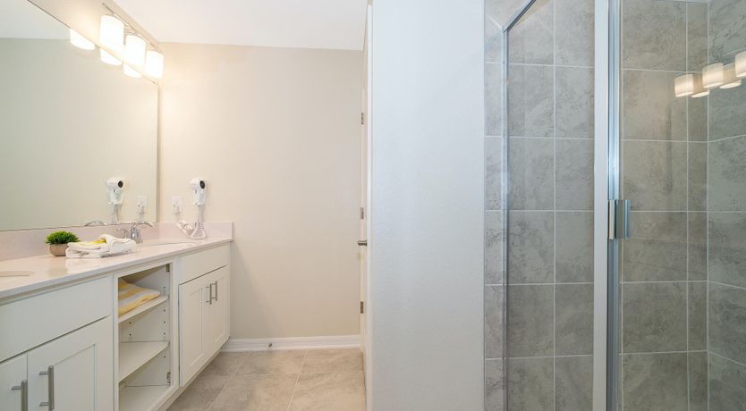 Photo of Daddy Long Bait