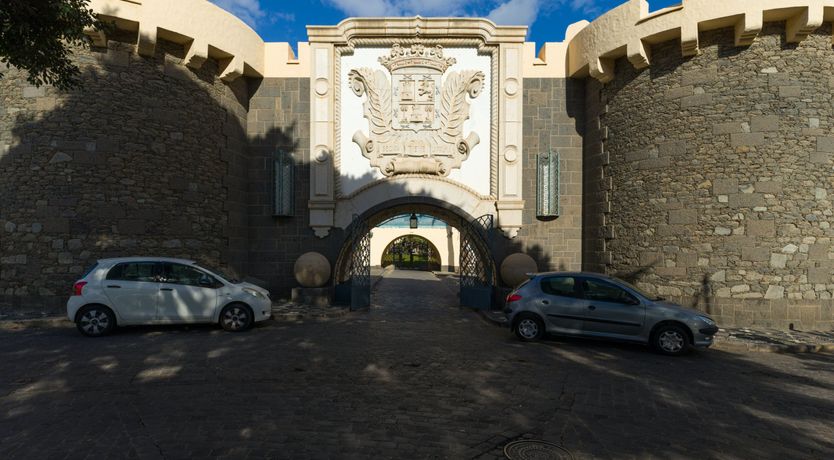 Photo of Shades of Palm