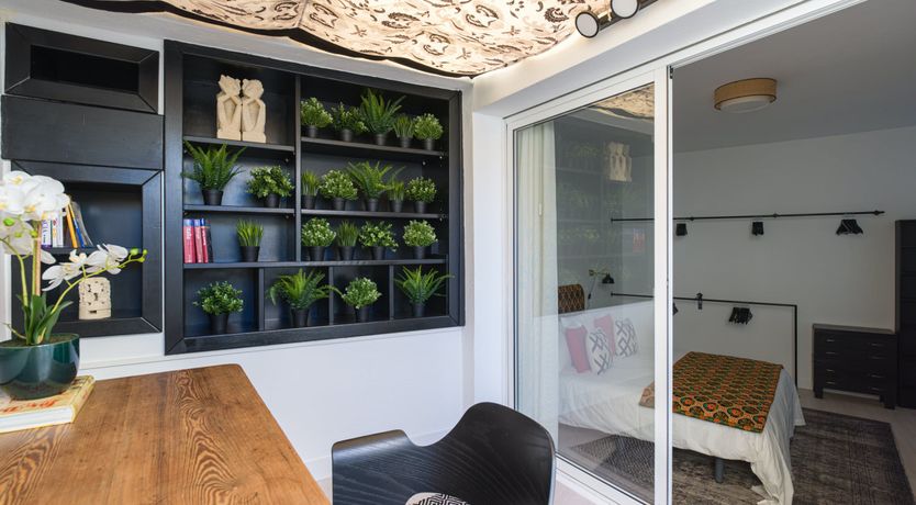 Photo of Shades of Palm