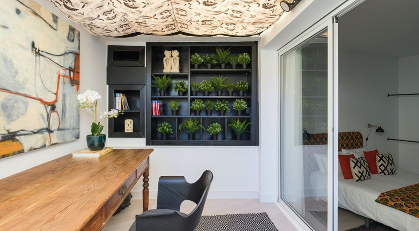 Photo of Shades of Palm