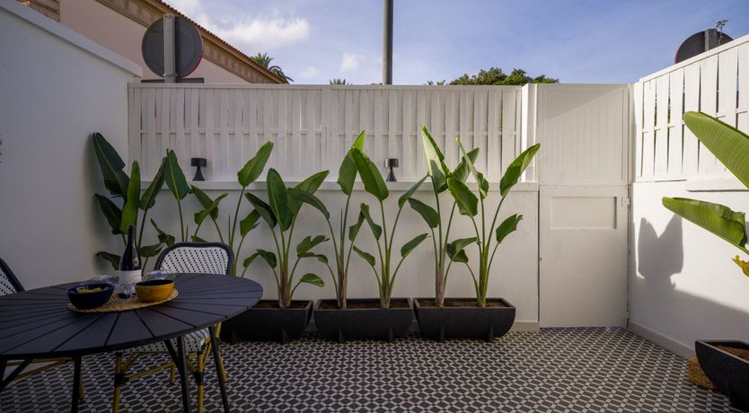 Photo of Shades of Palm