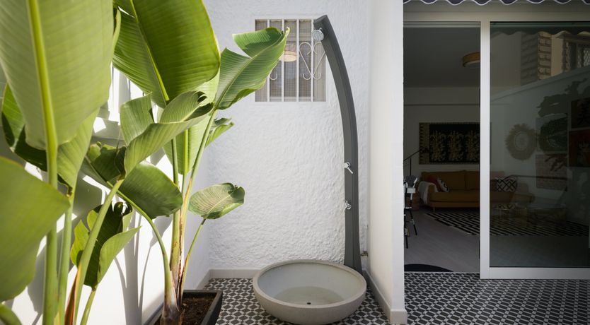 Photo of Shades of Palm