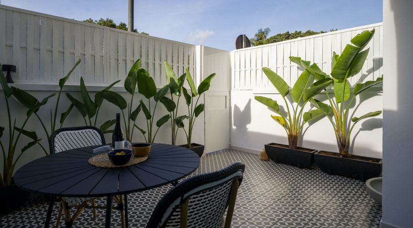 Photo of Shades of Palm