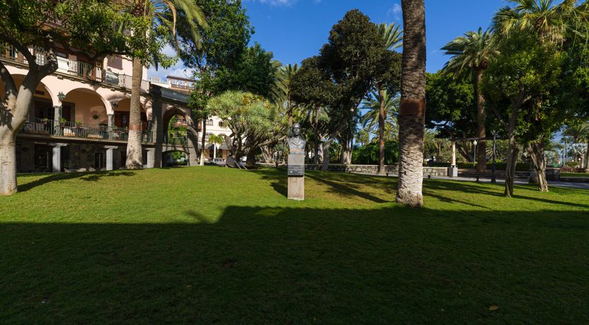 Photo of Shades of Palm