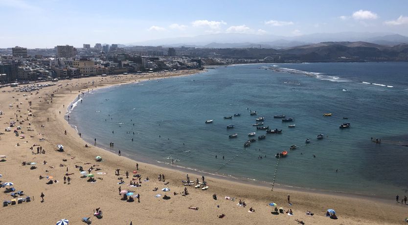 Photo of Shades of Palm