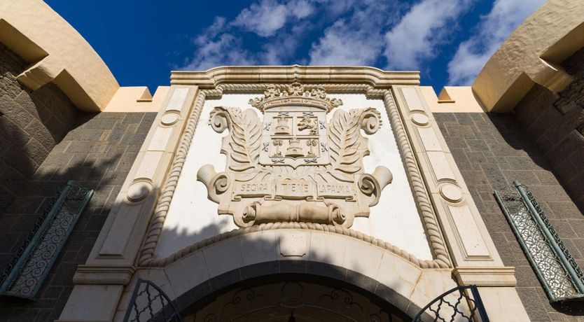 Photo of Shades of Palm