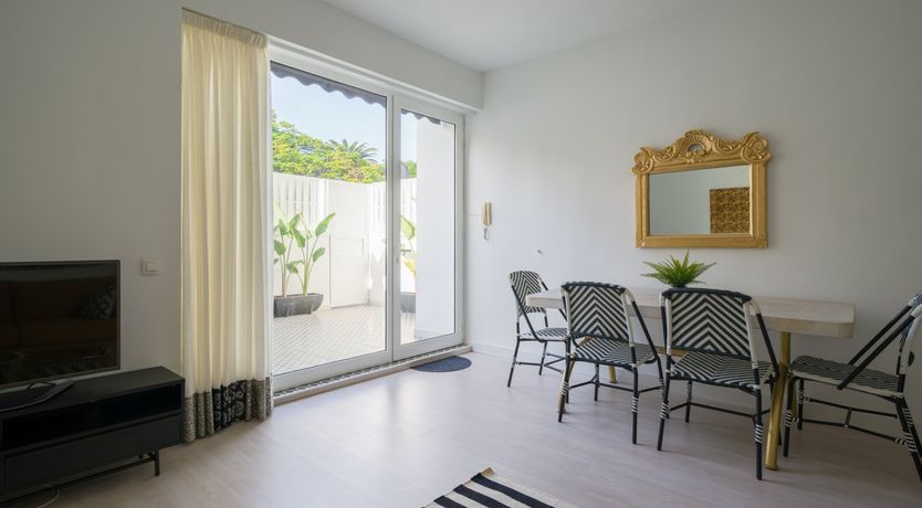 Photo of Shades of Palm