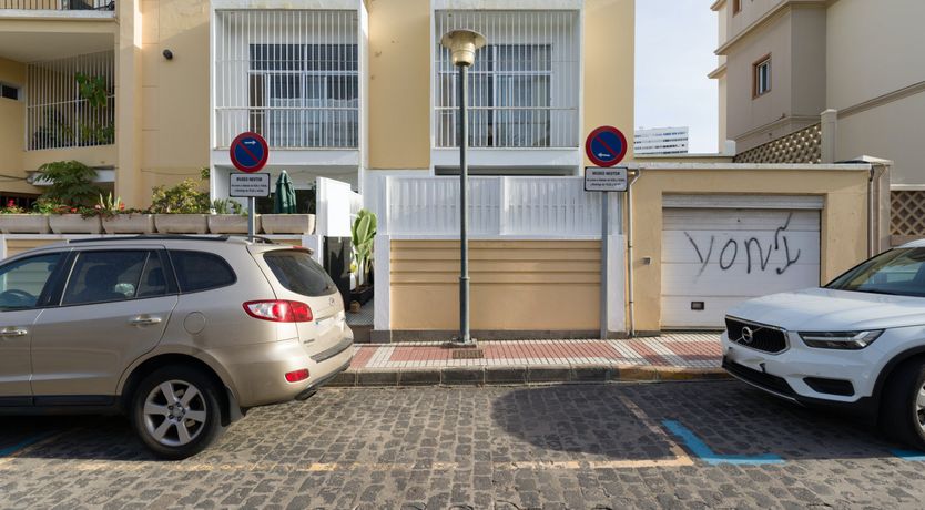 Photo of Shades of Palm