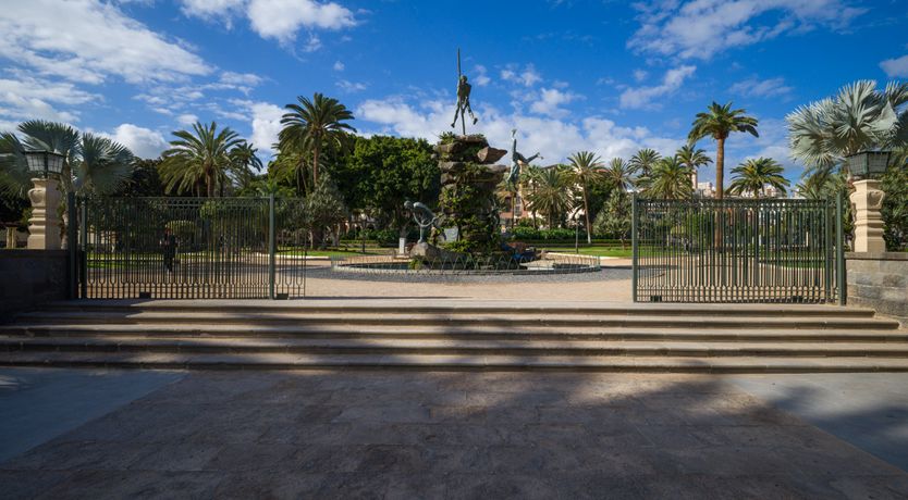 Photo of Shades of Palm