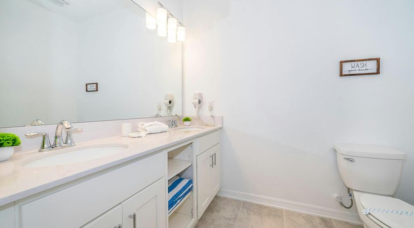 Photo of The Sea Serpent