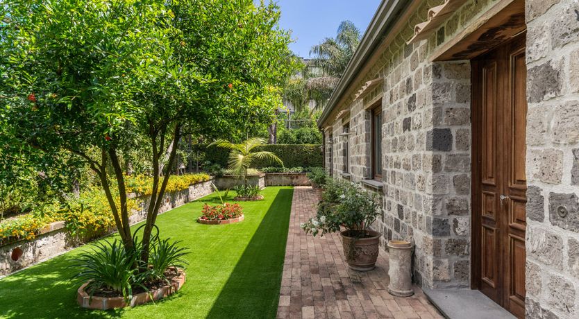 Photo of Sweet Lemon Grove