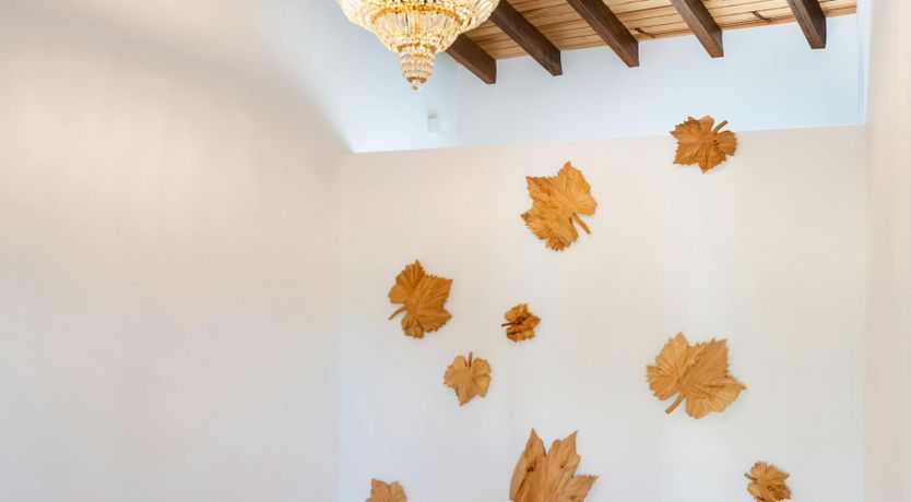 Photo of The Green Tide