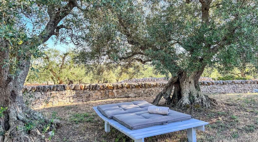 Photo of Un Amore Divina