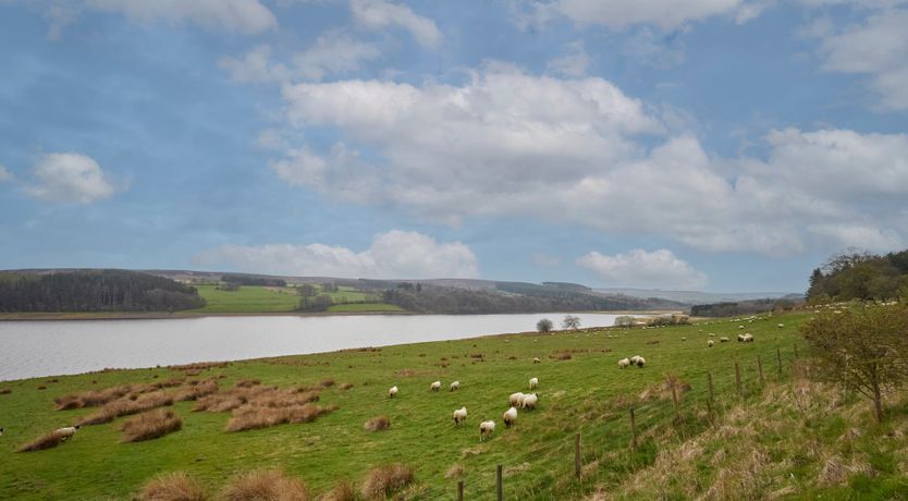 Photo of Walkers' Haven