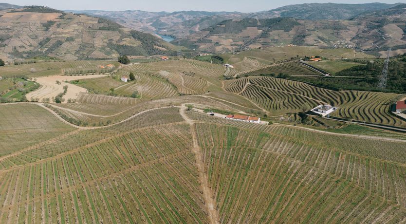 Photo of Where the Flowers Bloom