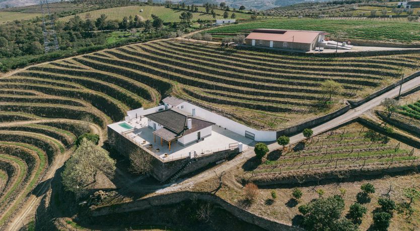 Photo of Where the Flowers Bloom