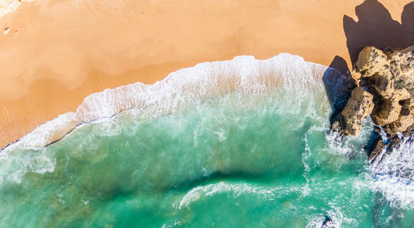 Photo of Tropical Eyes