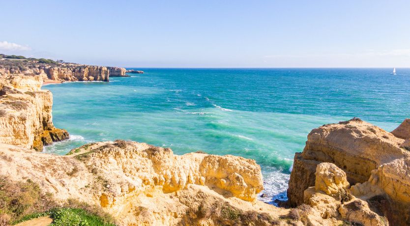 Photo of Tropical Eyes