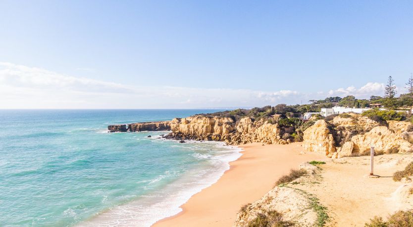 Photo of Tropical Eyes