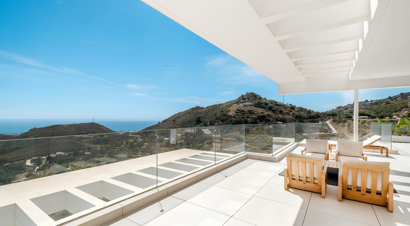 Photo of The Old Palms