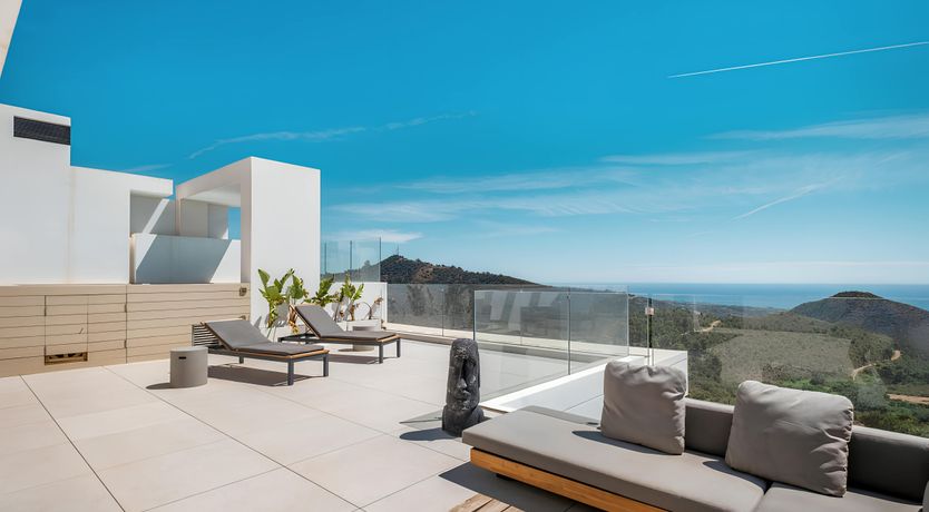 Photo of The Old Palms