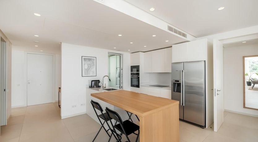 Photo of The Old Palms