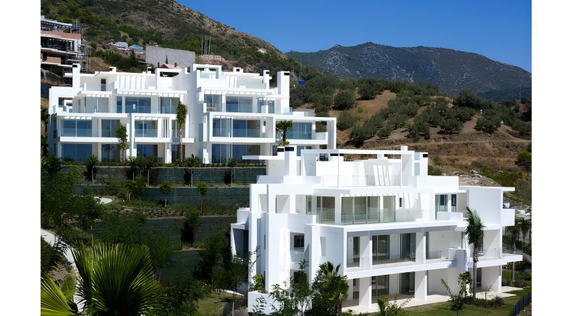 Photo of The Old Palms