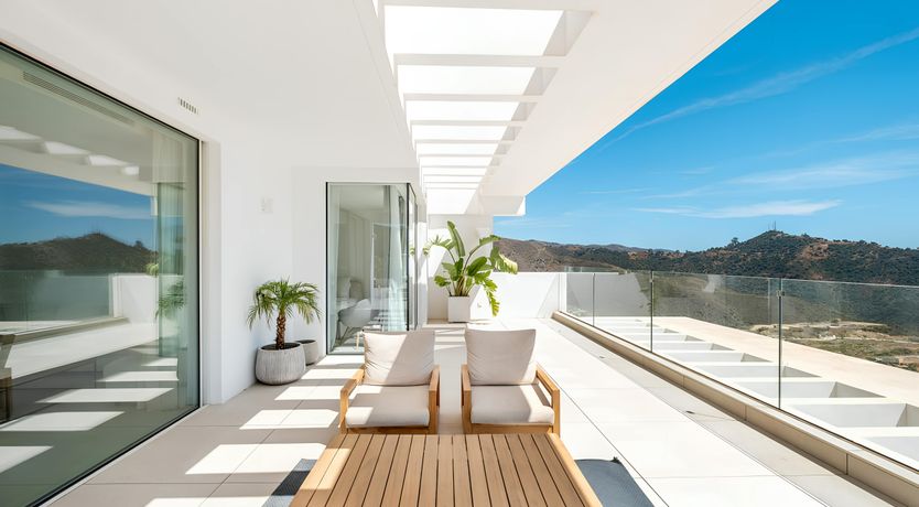 Photo of The Old Palms