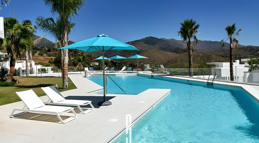 Photo of The Old Palms