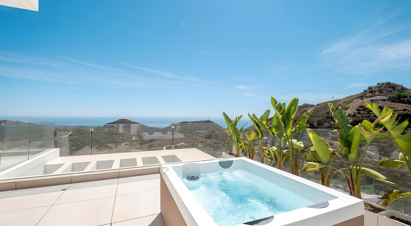 Photo of The Old Palms