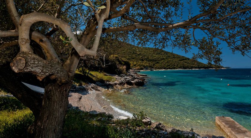 Photo of Whisper In The Moonlight