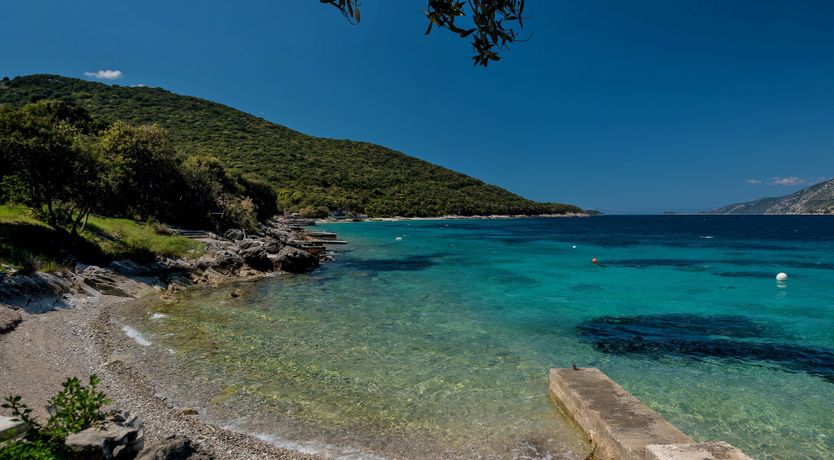 Photo of Whisper In The Moonlight