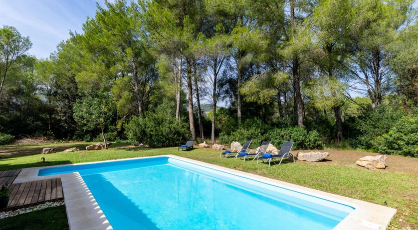 Photo of The Sun Is the Star