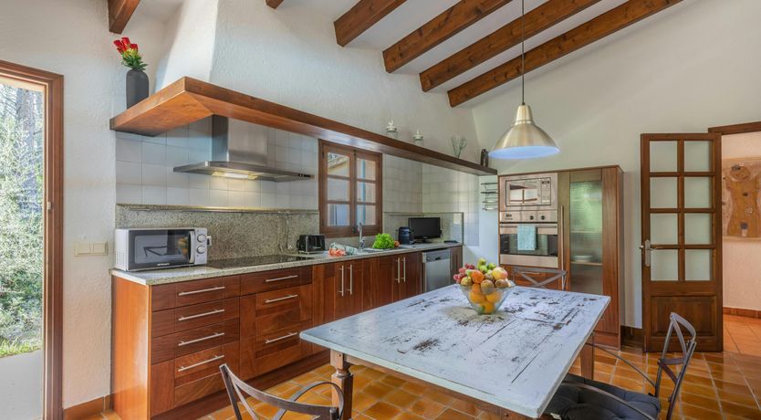 Photo of The Sun Is the Star