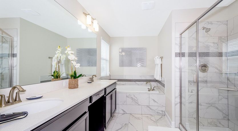 Photo of The Sugar Maple