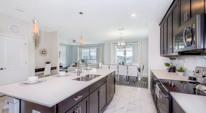 Photo of The Sugar Maple