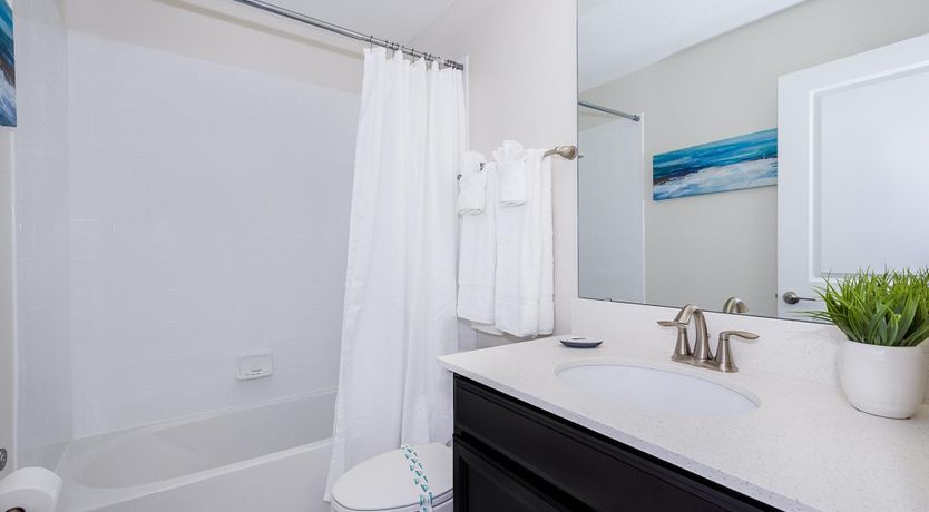 Photo of The Sugar Maple