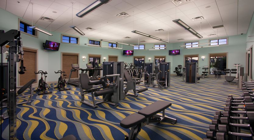 Photo of The Sugar Maple