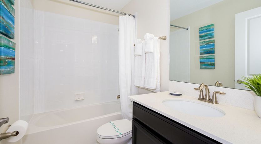 Photo of The Sugar Maple