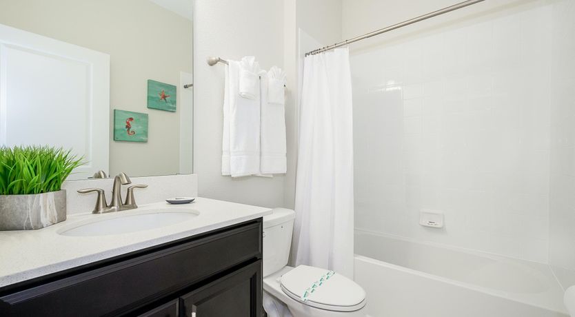 Photo of The Sugar Maple