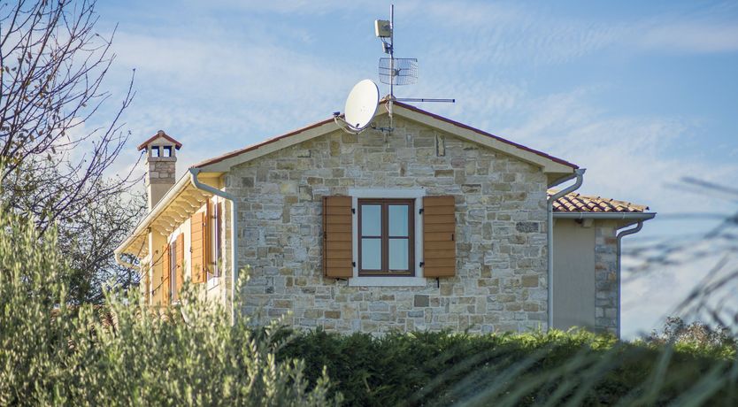 Photo of Green Evening