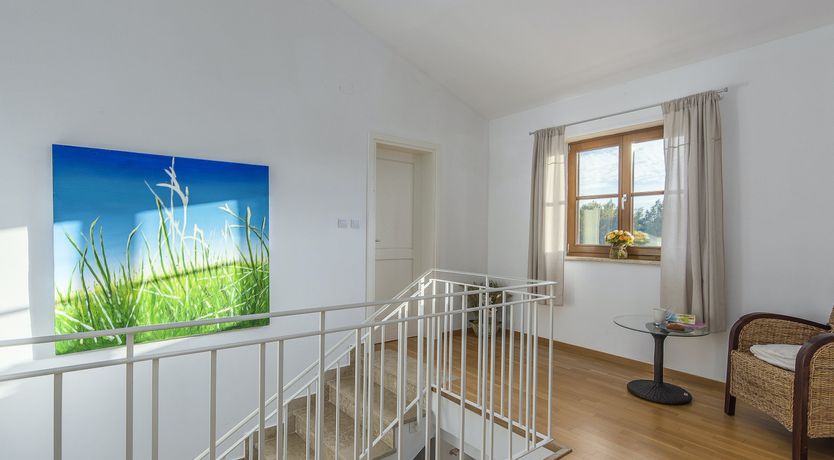 Photo of Green Evening