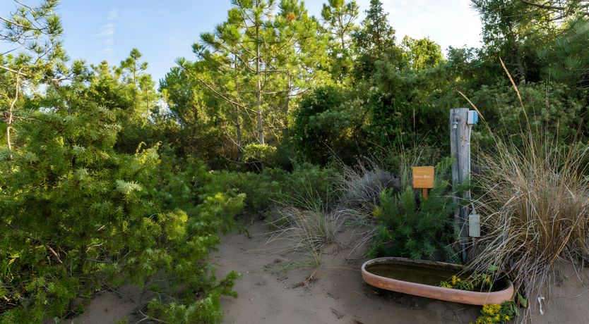 Photo of The Poet's Paradise