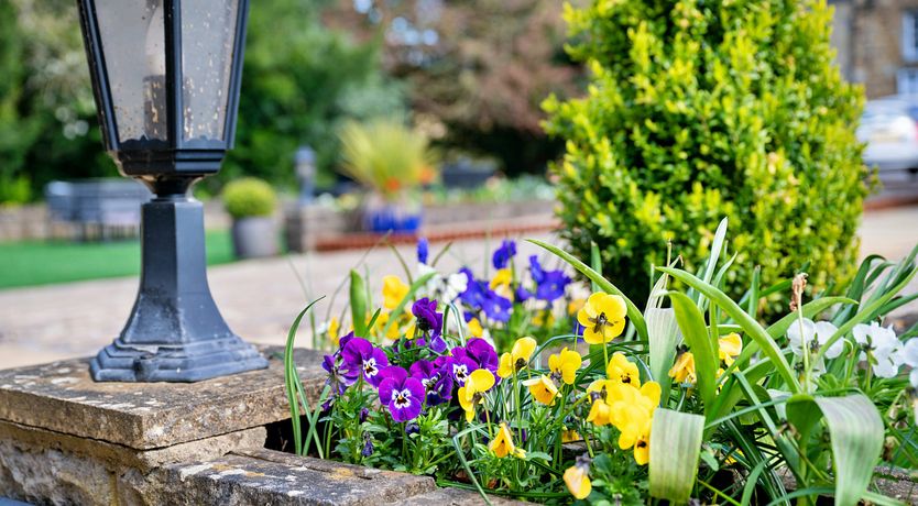 Photo of Whitestone Retreat