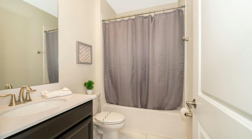 Photo of Coral Reef Blue