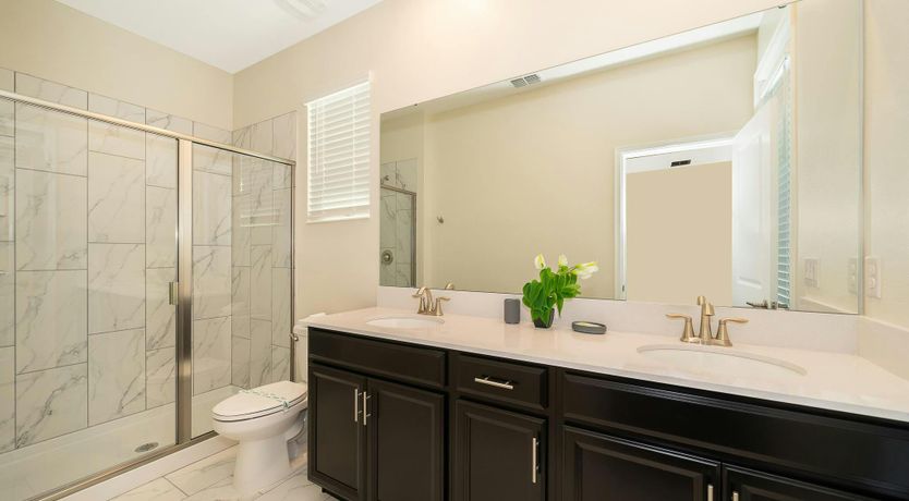 Photo of Coral Reef Blue