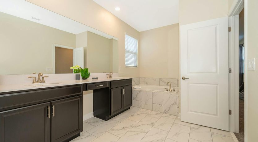 Photo of Coral Reef Blue