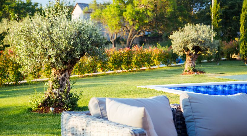 Photo of Hero of the Lake