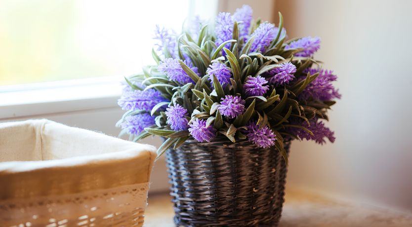 Photo of Hero of the Lake