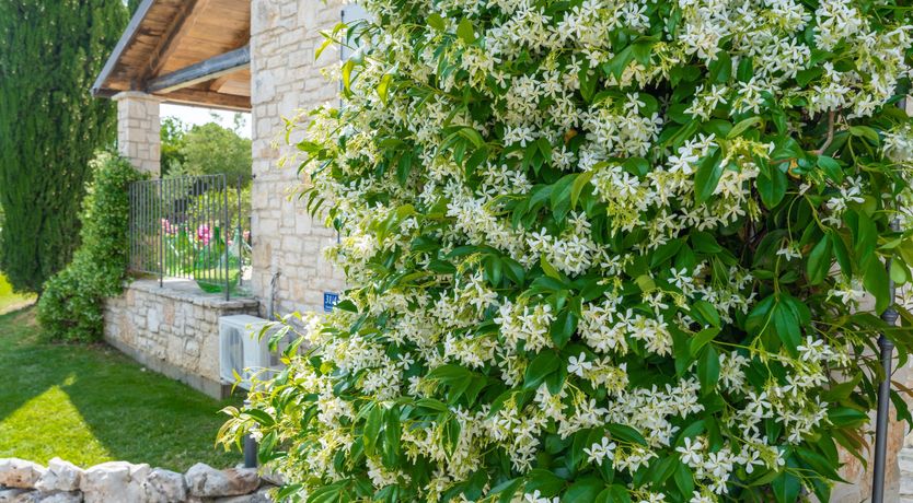 Photo of Breathtaking Retreat